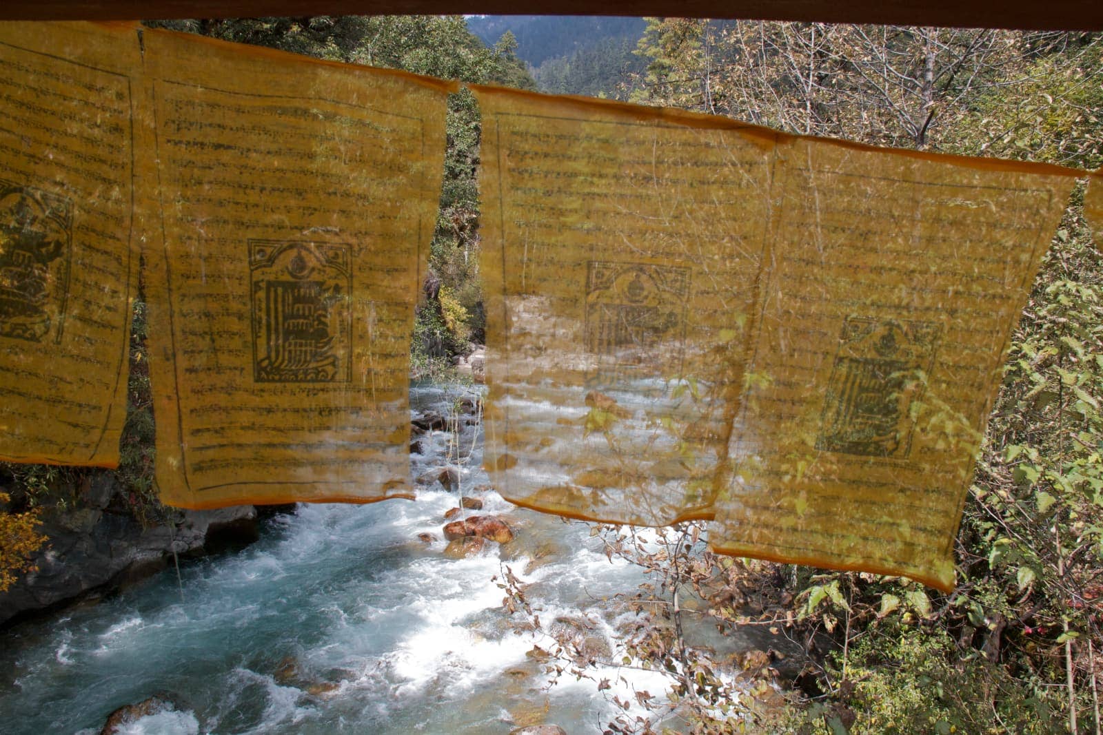 Yellow flags hanging in foreground with flowing river in background