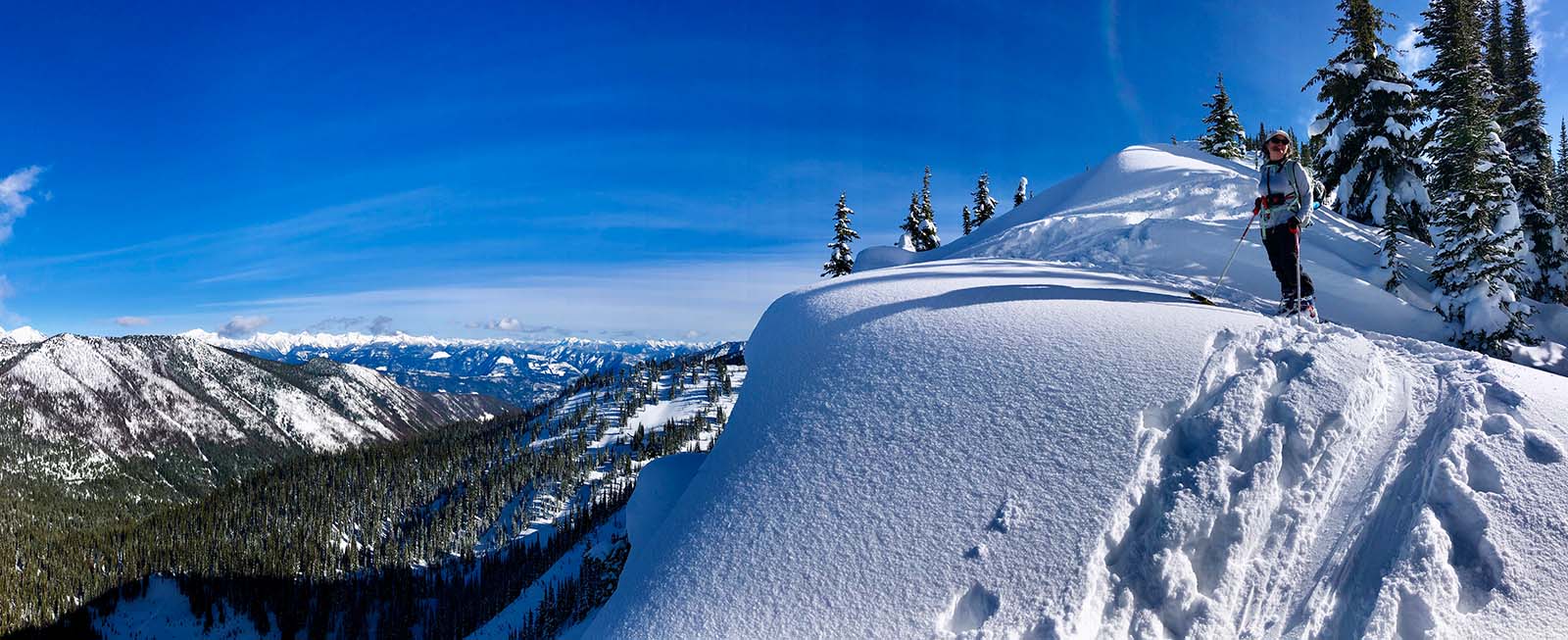 skier on ridge overlooks forested valley