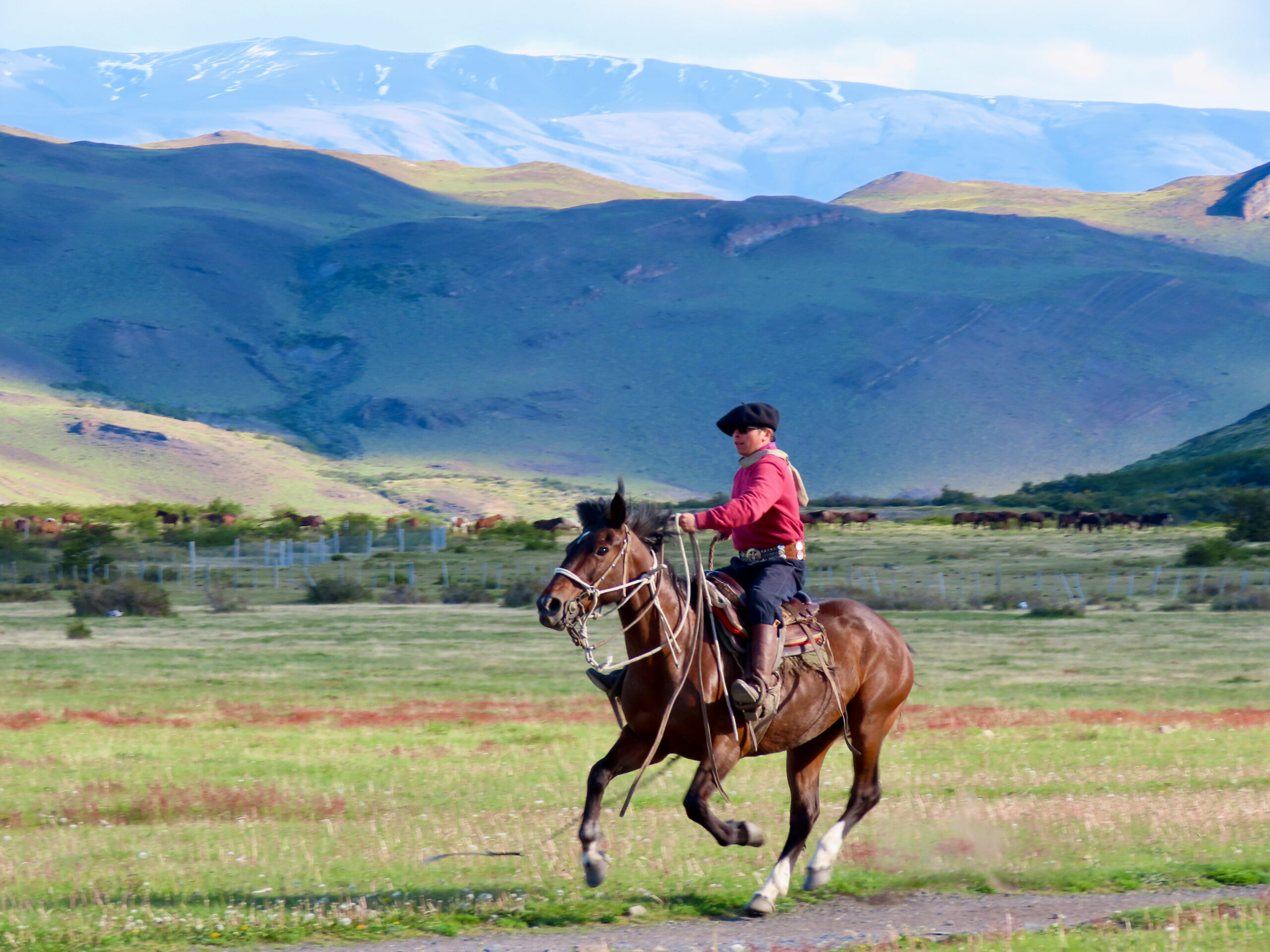 A man in a red shirt and black hat cantering on a brown horse across open grassland, with snow-dusted mountains in the background.