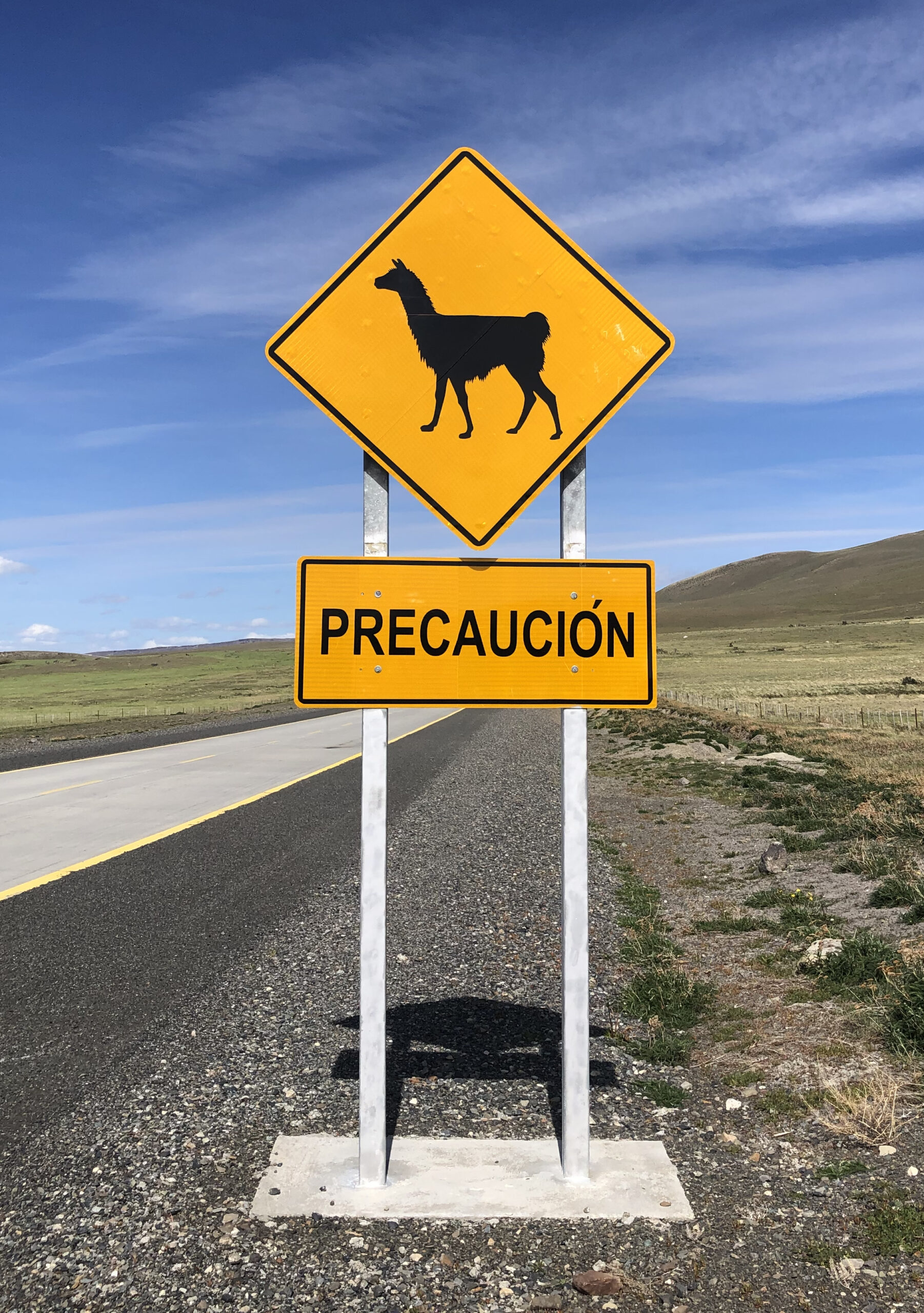 A yellow diamond shaped road sign with a guanaco silhouette above a 